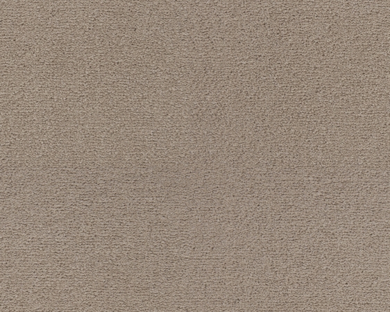 Celeste - 431 Lehm 1